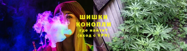 PSILOCYBIN Нея
