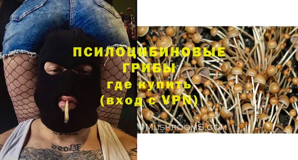 кристаллы Новозыбков