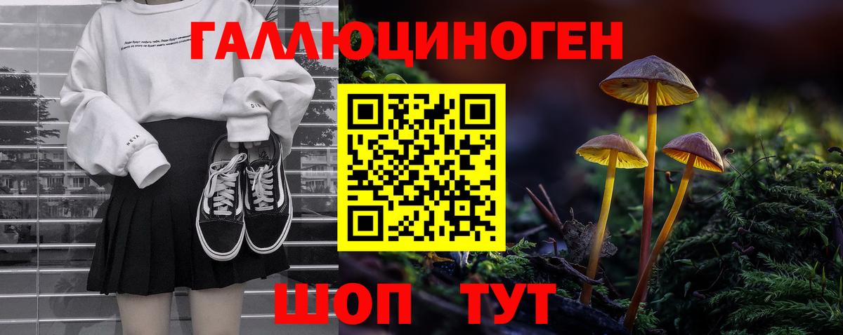 Галлюциногенные грибы прущие грибы Томск